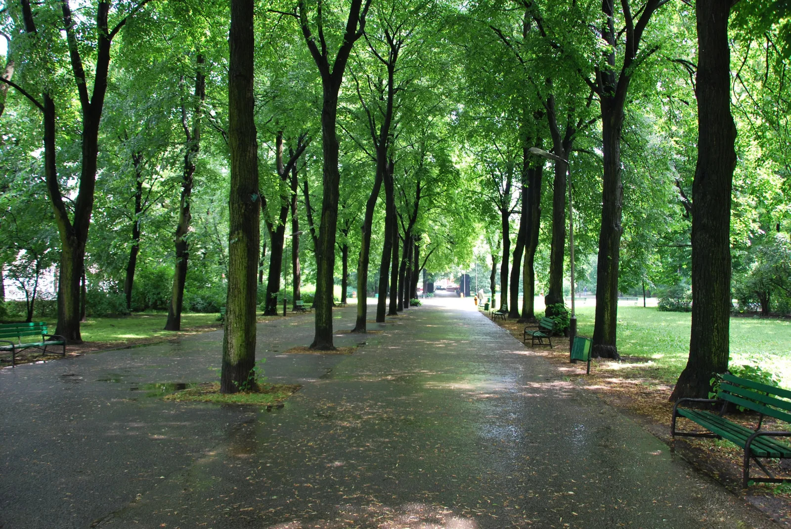 Park im. Stanisława Staszica