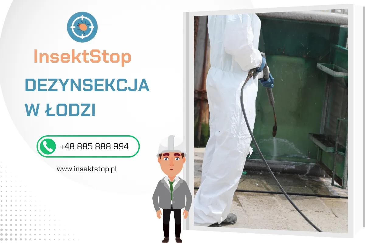dezynsekcja ł&oacute;dź